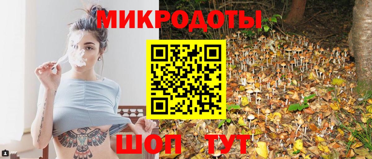 Псилоцибиновые грибы Psilocybine cubensis  что такое   Елец  Вход с VPN 